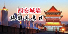 女人被爽操网站中国陕西-西安城墙旅游风景区